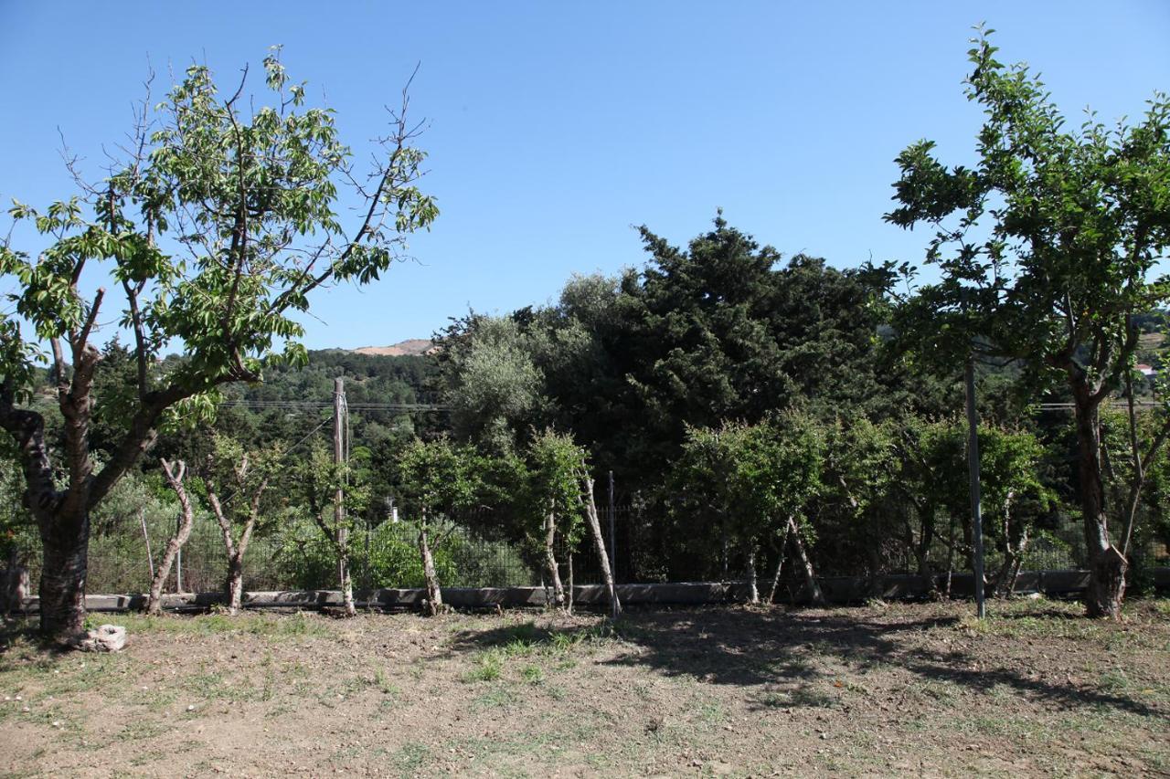 Agios Ioannis Hellenick House别墅 外观 照片
