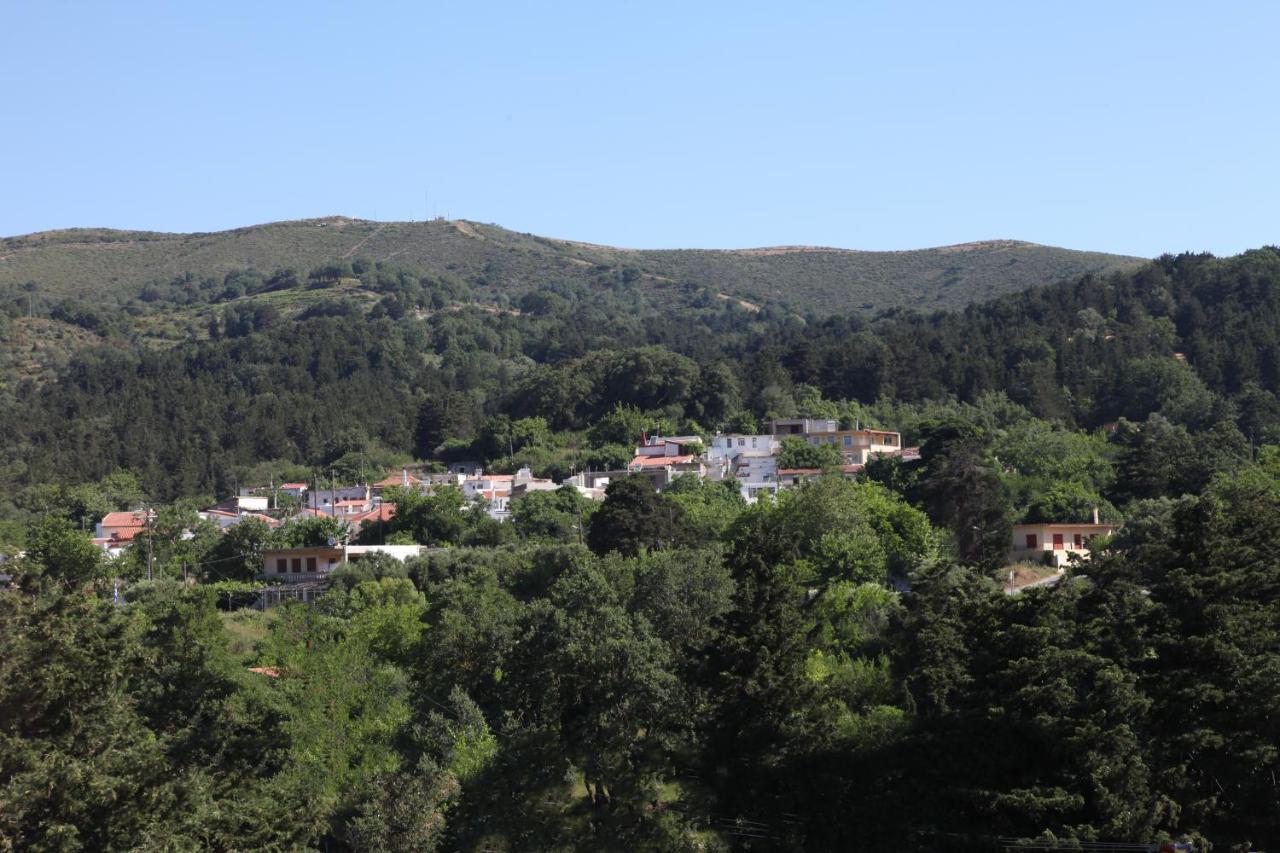 Agios Ioannis Hellenick House别墅 外观 照片